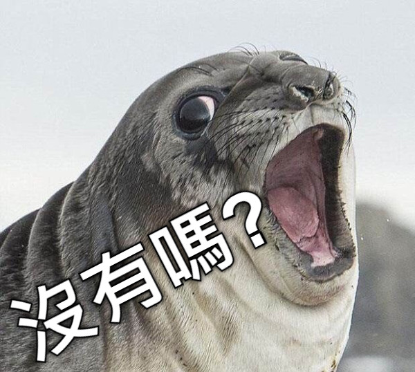 沒有嗎?