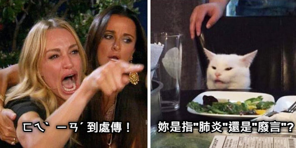 ㄈㄟˋ  ㄧㄢˊ 到處傳！ 妳是指"肺炎"還是"廢言"?