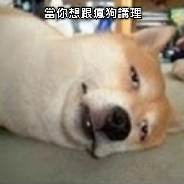 當你想跟瘋狗講理
