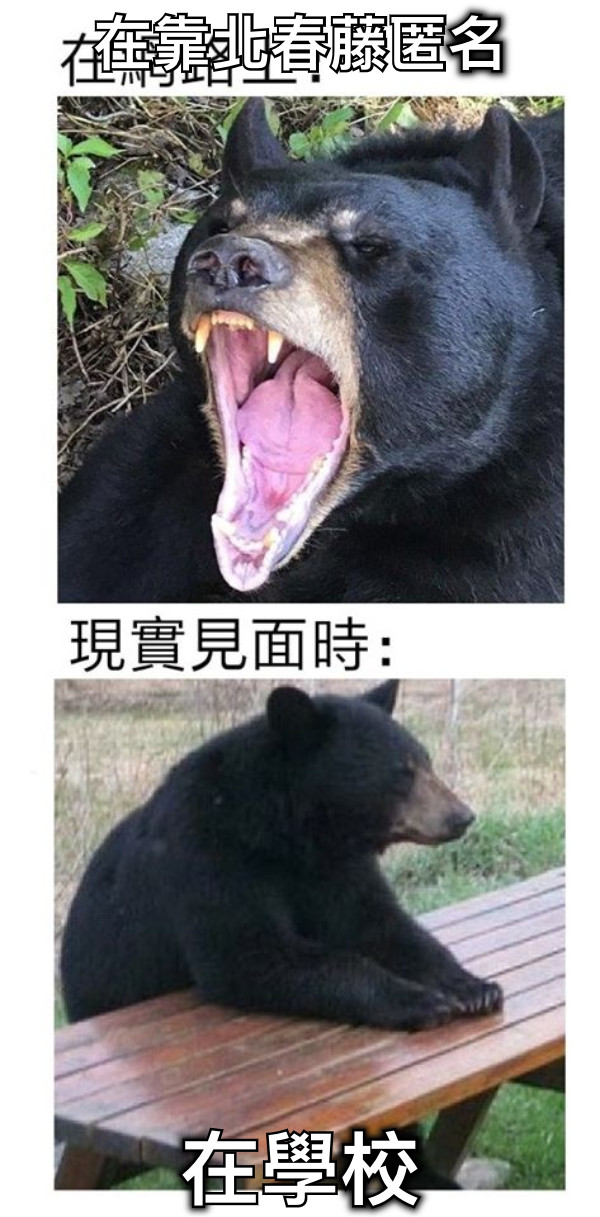 在靠北春藤匿名 在學校