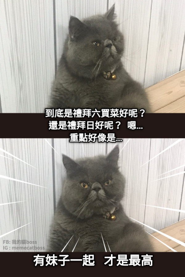 到底是禮拜六買菜好呢？ 還是禮拜日好呢？  嗯… 重點好像是… 有妹子一起   才是最高
