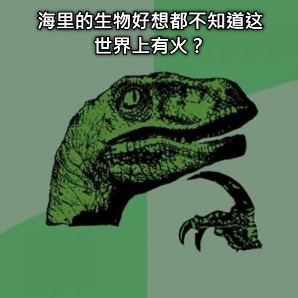 海里的生物好想都不知道这世界上有火？