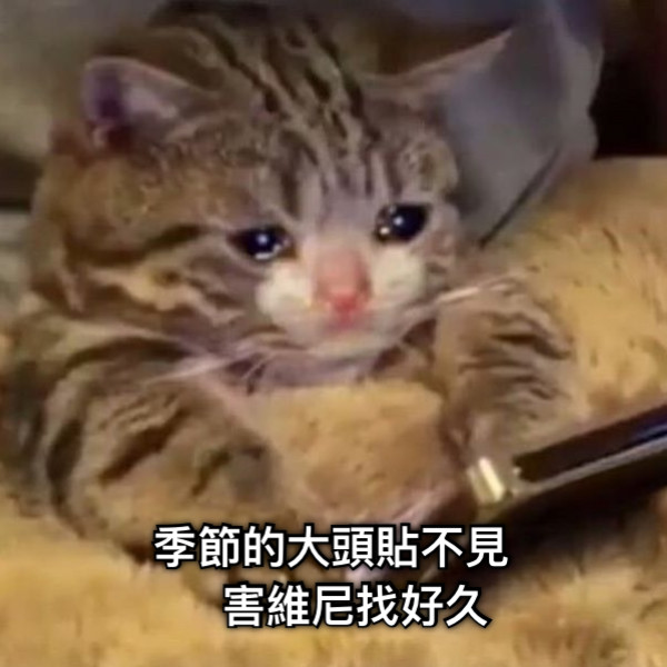 季節的大頭貼不見     害維尼找好久