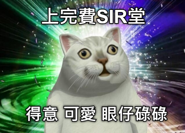 上完費SIR堂 得意 可愛 眼仔碌碌