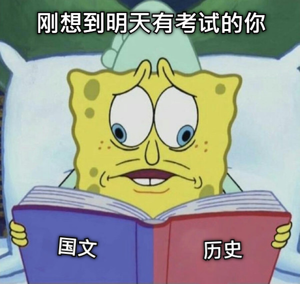 刚想到明天有考试的你 国文 历史