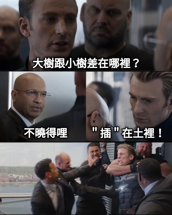 大樹跟小樹差在哪裡？ 不曉得哩 ＂插＂在土裡！