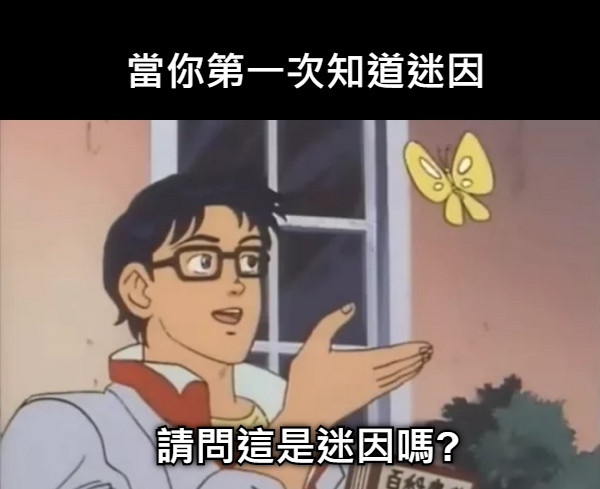 當你第一次知道迷因 請問這是迷因嗎?