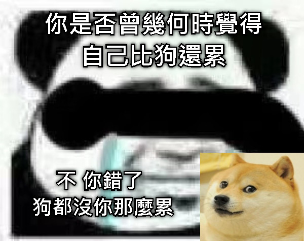 你是否曾幾何時覺得自己比狗還累 不 你錯了  狗都沒你那麼累