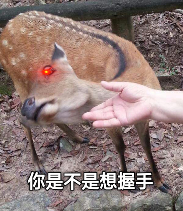 你是不是想握手