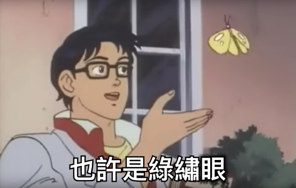 也許是綠繡眼