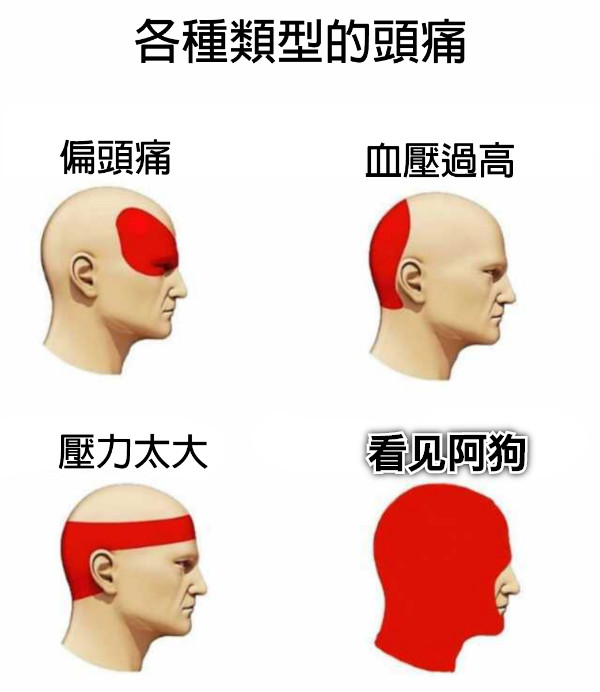 看见阿狗