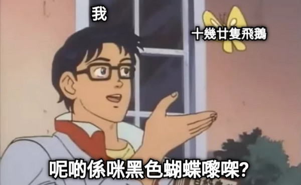 我 呢啲係咪黑色蝴蝶嚟㗎? 十幾廿隻飛鵝