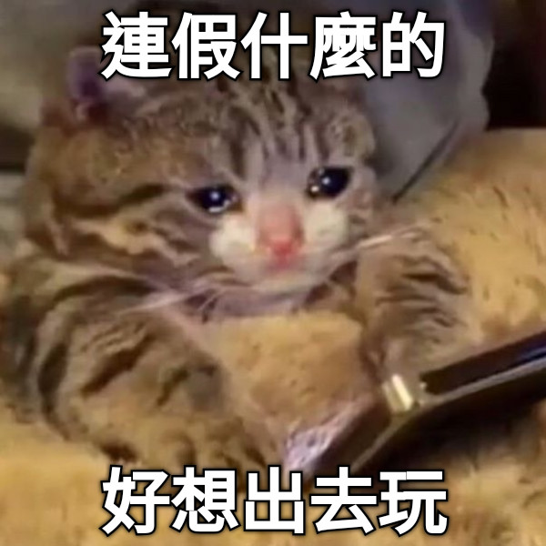 連假什麼的 好想出去玩