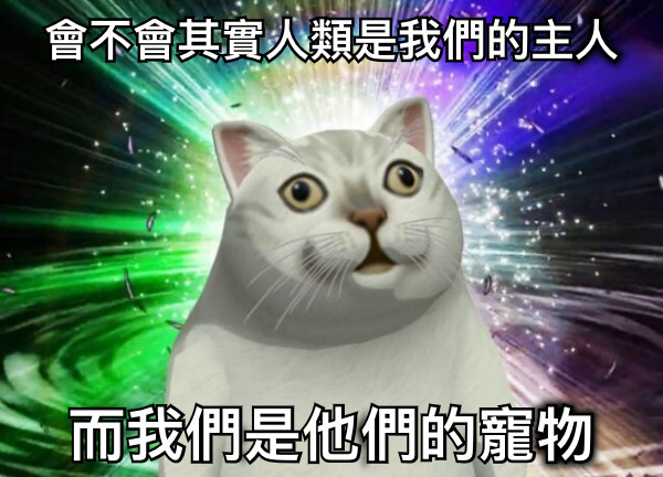 會不會其實人類是我們的主人 而我們是他們的寵物