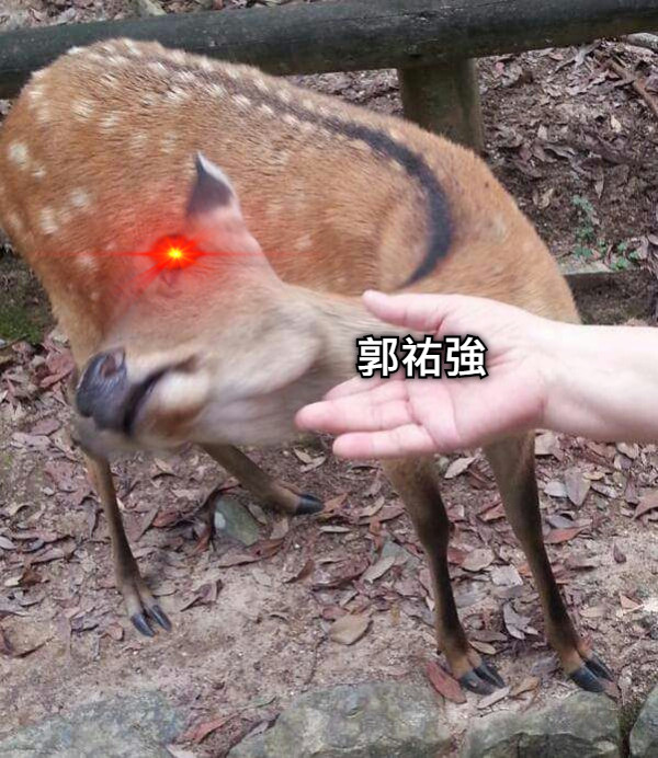 郭祐強