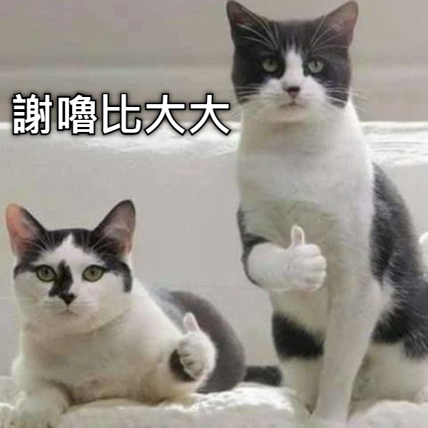謝嚕比大大