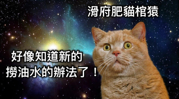 滑府肥貓棺猿 好像知道新的     撈油水的辦法了！