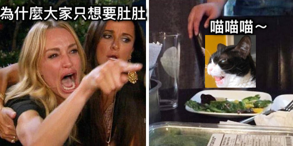 為什麼大家只想要肚肚 喵喵喵～