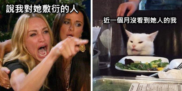 說我對她敷衍的人 近一個月沒看到她人的我