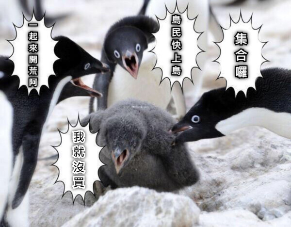集 合 囉 島 民 快 上 島 一起來開荒阿 我 就 沒 買