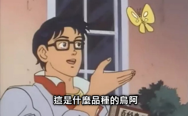 這是什麼品種的鳥阿