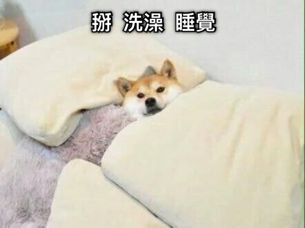 掰  洗澡  睡覺