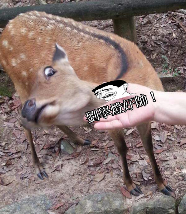 劉學燈好帥！
