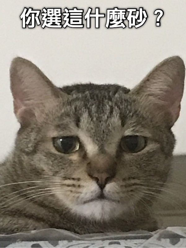 你選這什麼砂？