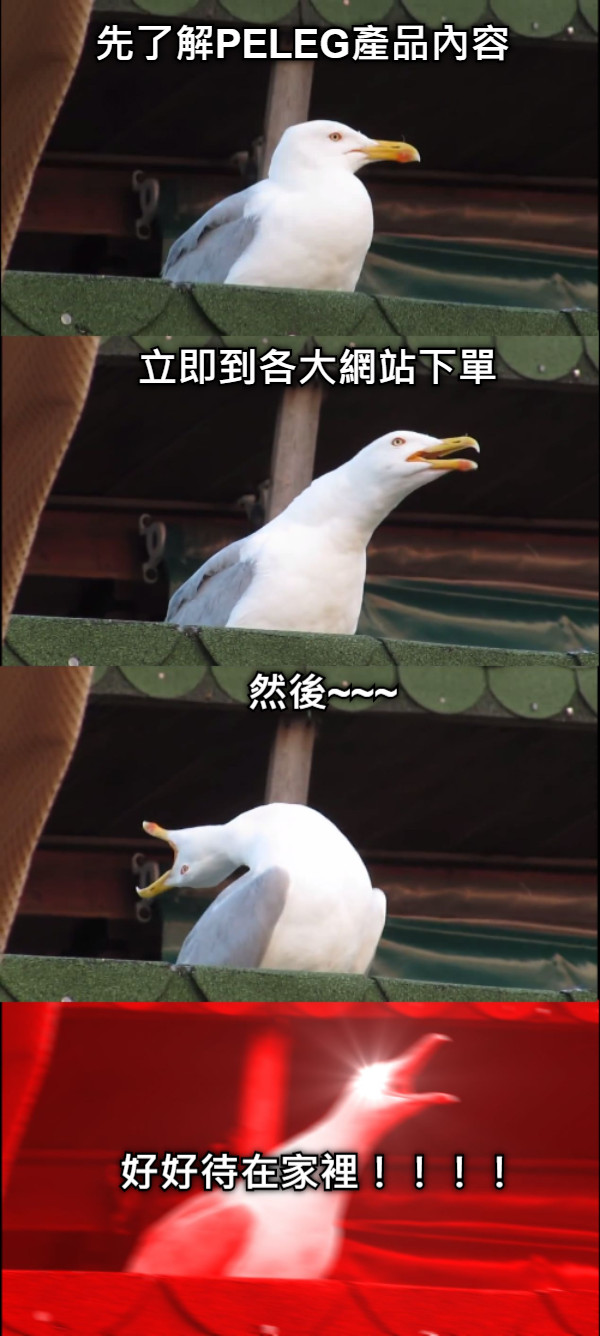 先了解PELEG產品內容 立即到各大網站下單 然後~~~ 好好待在家裡！！！！