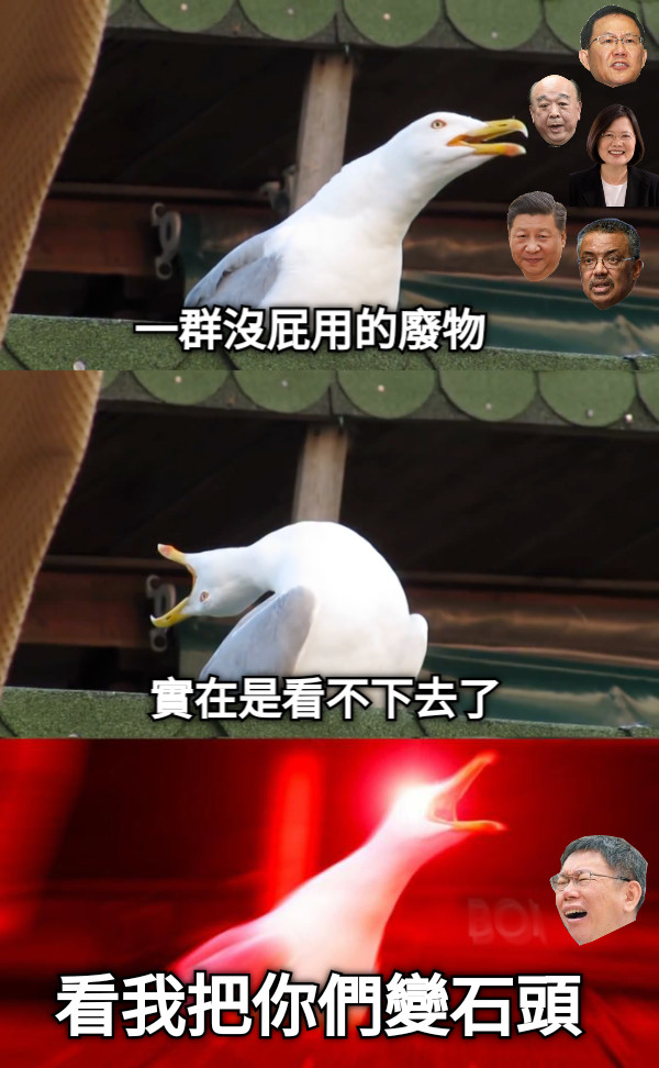 一群沒屁用的廢物 實在是看不下去了 看我把你們變石頭