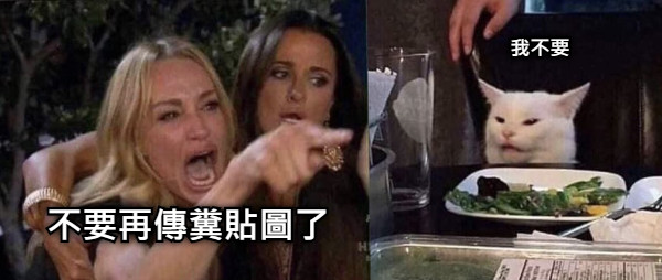 不要再傳糞貼圖了 我不要