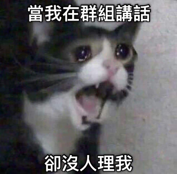 當我在群組講話 卻沒人理我