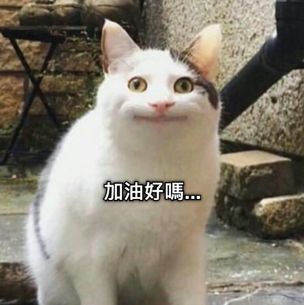 加油好嗎...