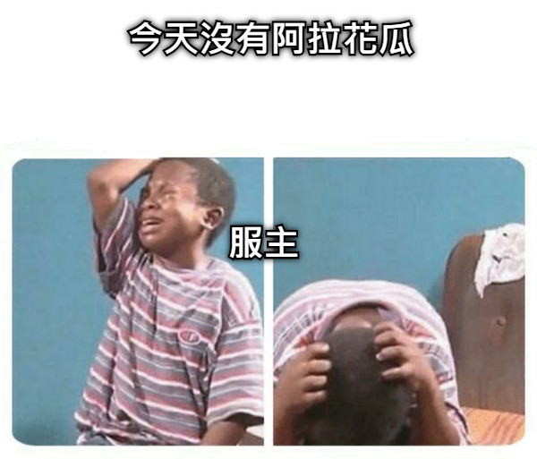 今天沒有阿拉花瓜 服主