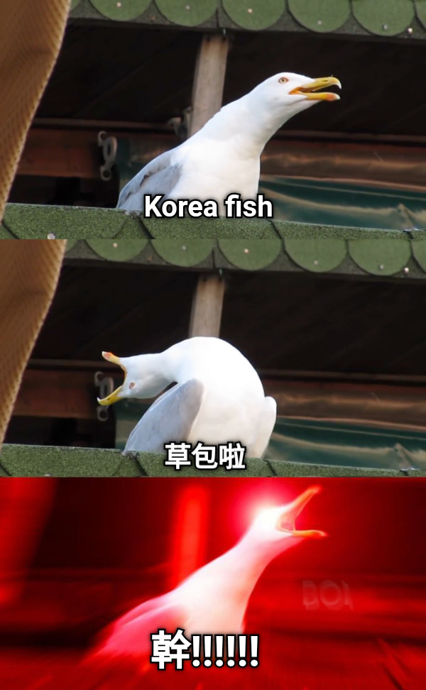 Korea fish 草包啦 幹!!!!!!