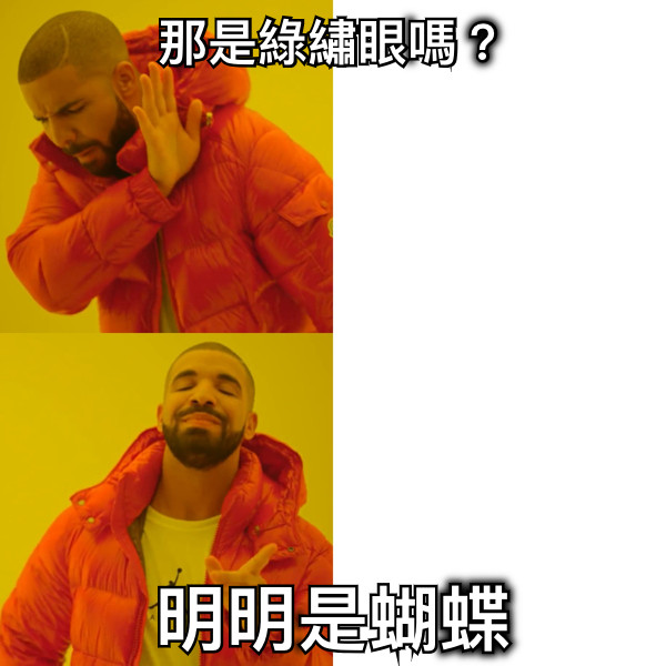 那是綠繡眼嗎？ 明明是蝴蝶