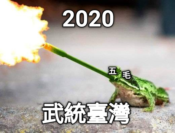 2020 武統臺灣 五 毛