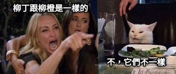 柳丁跟柳橙是一樣的 不，它們不一樣