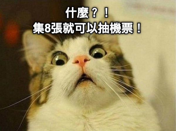 什麼？！ 集8張就可以抽機票！