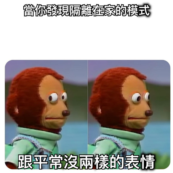當你發現隔離在家的模式 跟平常沒兩樣的表情