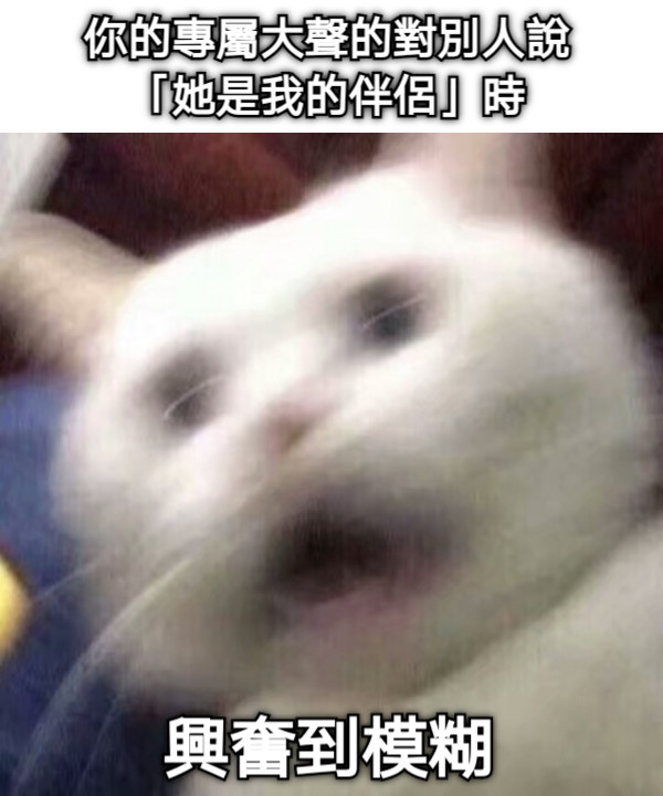 你的專屬大聲的對別人說 「她是我的伴侶」時 興奮到模糊