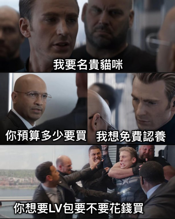 我要名貴貓咪 你預算多少要買 我想免費認養 你想要LV包要不要花錢買