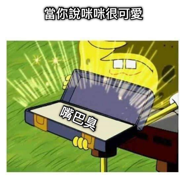 當你說咪咪很可愛 嘴巴臭