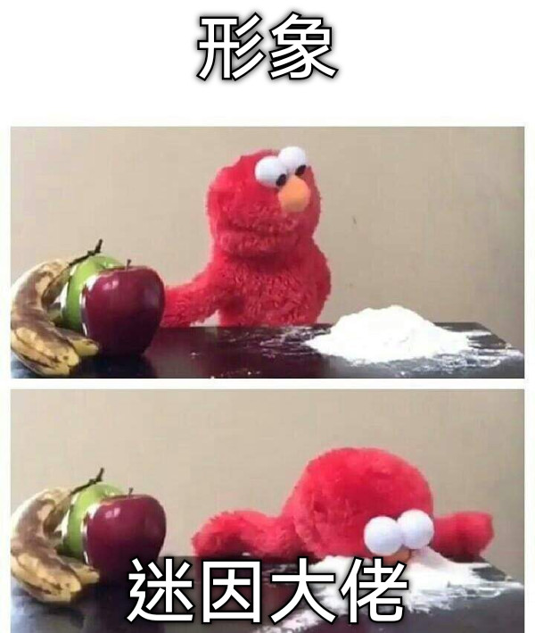 形象 迷因大佬