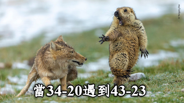 當34-20遇到43-23