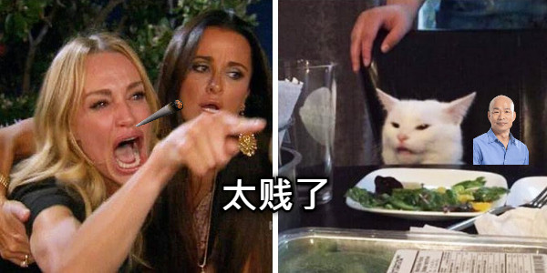 太贱了