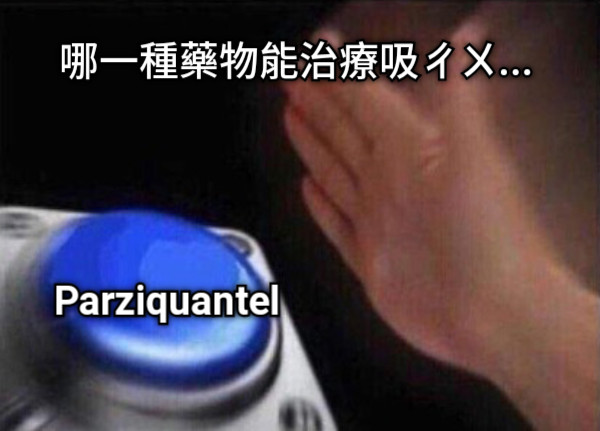 Parziquantel 哪一種藥物能治療吸ㄔㄨ...