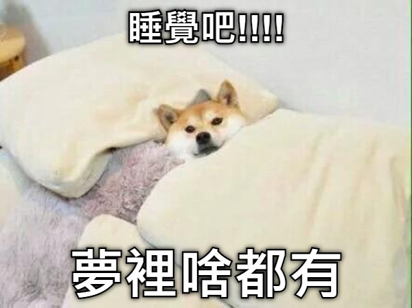 睡覺吧!!!! 夢裡啥都有