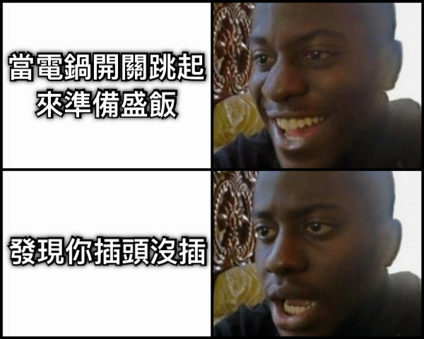 當電鍋開關跳起來準備盛飯 發現你插頭沒插