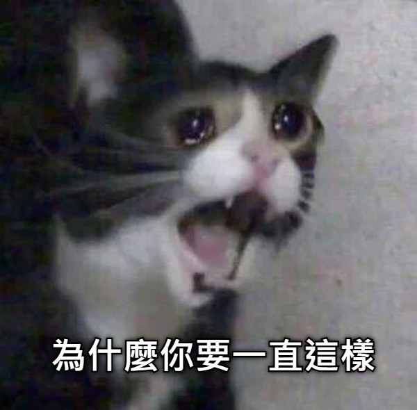為什麼你要一直這樣